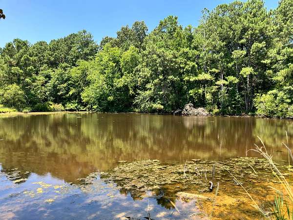 58.7 Acres of Land for Sale in Saluda, South Carolina