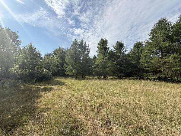 5.32 Acres of Residential Land for Sale in Hale, Michigan