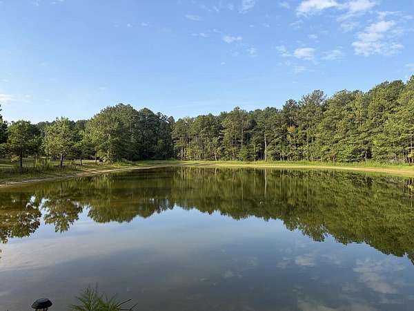 38.2 Acres of Recreational & Residential Land for Sale in Pine Mountain, Georgia