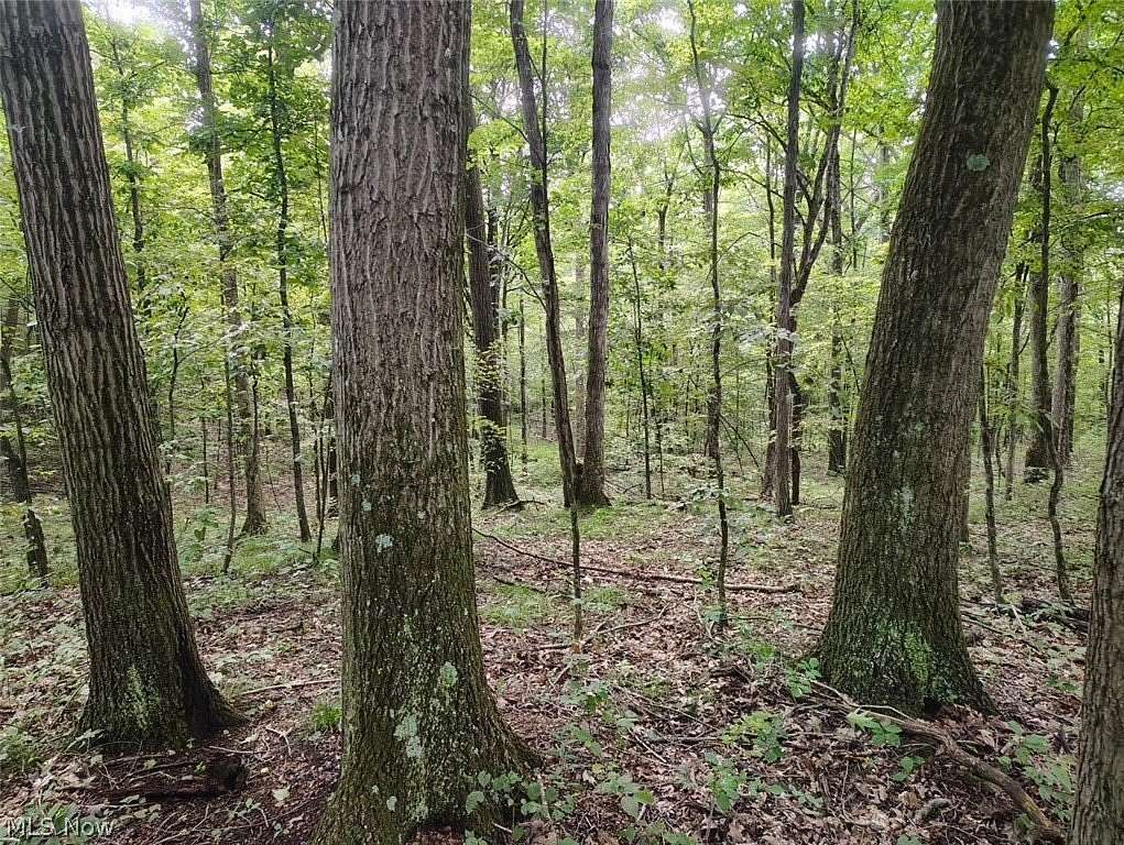 7.87 Acres of Land with Home for Sale in Salineville, Ohio