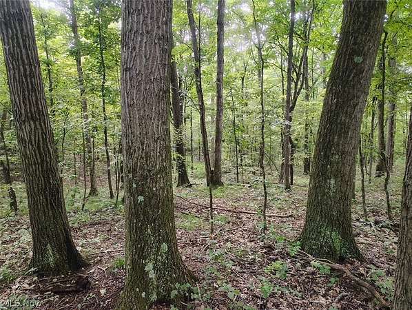 7.87 Acres of Land with Home for Sale in Salineville, Ohio