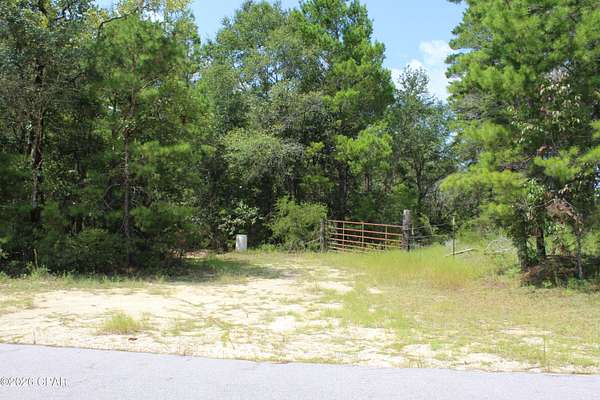 5.9 Acres of Residential Land for Sale in Vernon, Florida