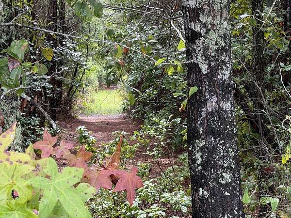 8.22 Acres of Residential Land for Sale in Ridgeville, South Carolina
