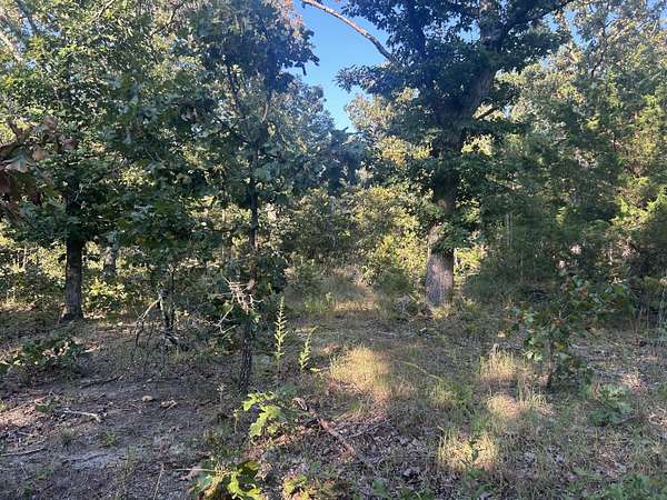 15 Acres of Recreational & Residential Land for Sale in Salem, Missouri