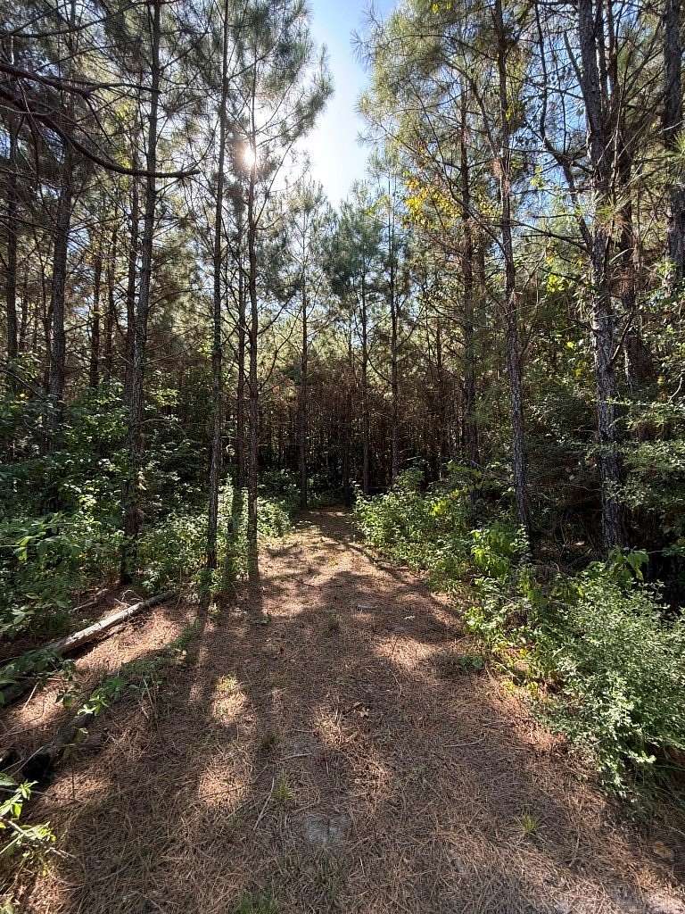 26.5 Acres of Recreational Land for Sale in Broaddus, Texas