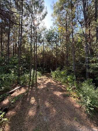 26.5 Acres of Recreational Land for Sale in Broaddus, Texas