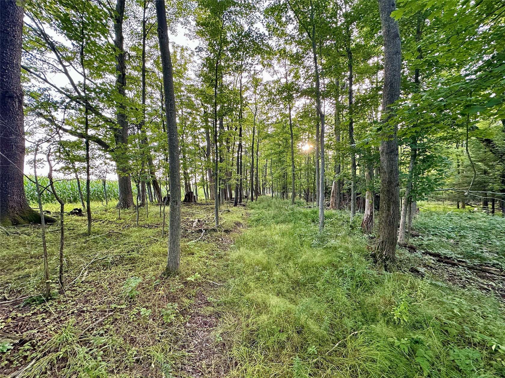 37 Acres of Recreational Land for Sale in Edinboro, Pennsylvania