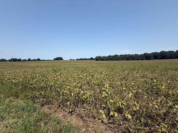 13 Acres of Land for Sale in Dexter, Kentucky