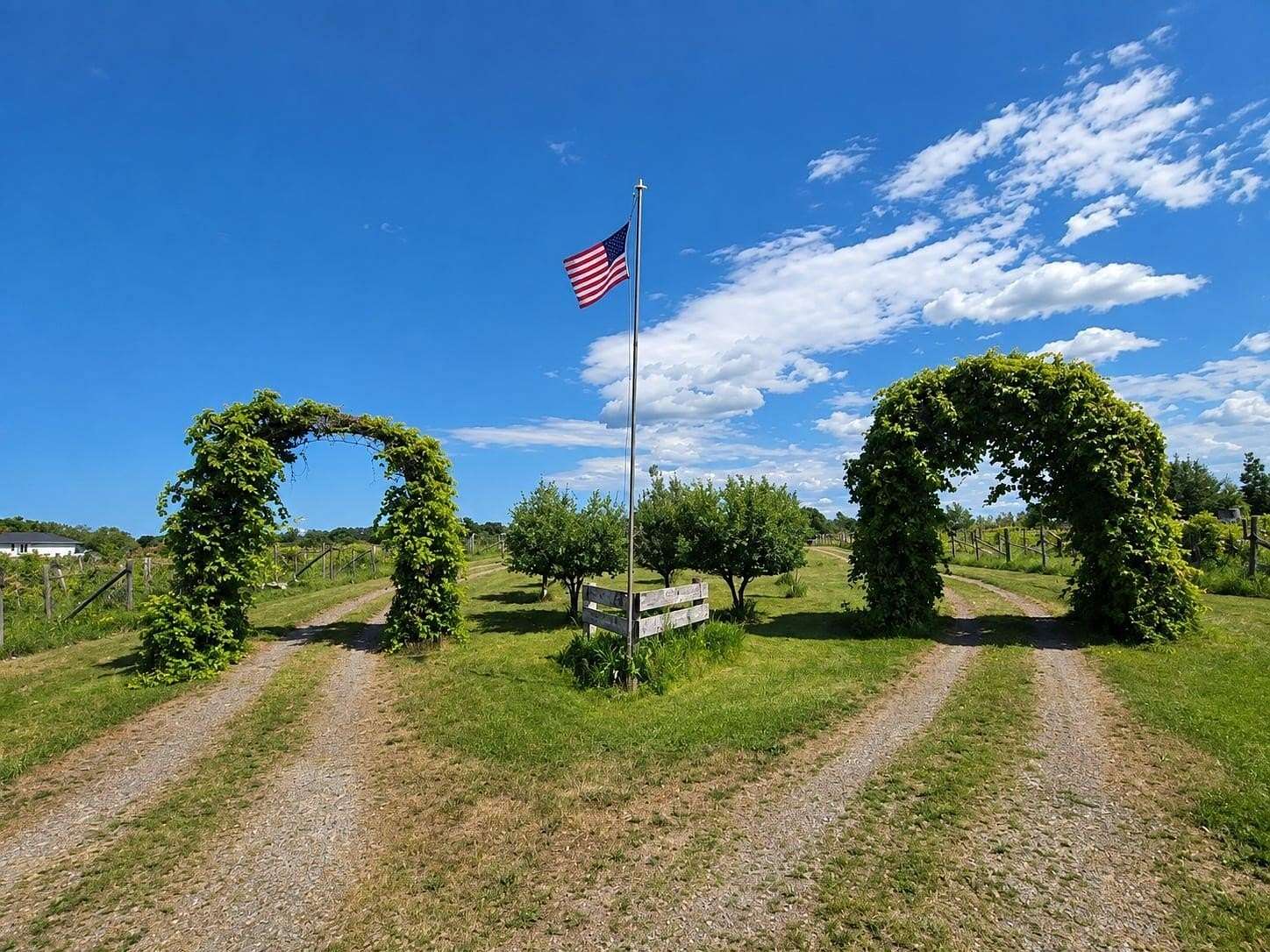 20 Acres of Land for Sale in Isle, Minnesota