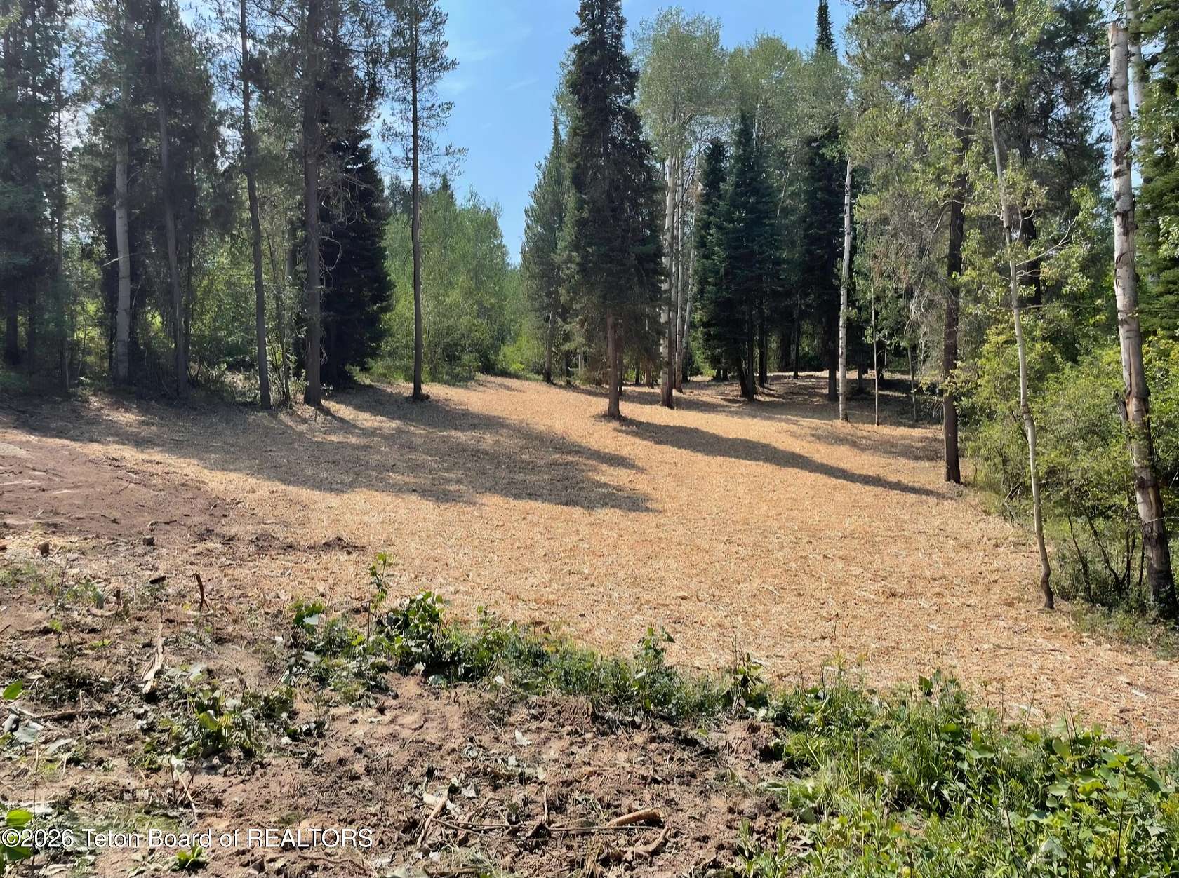 0.82 Acres of Residential Land for Sale in Alpine, Wyoming