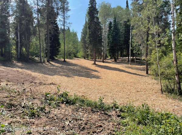 0.82 Acres of Residential Land for Sale in Alpine, Wyoming