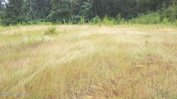 2.1 Acres of Residential Land for Sale in Courtland, Mississippi