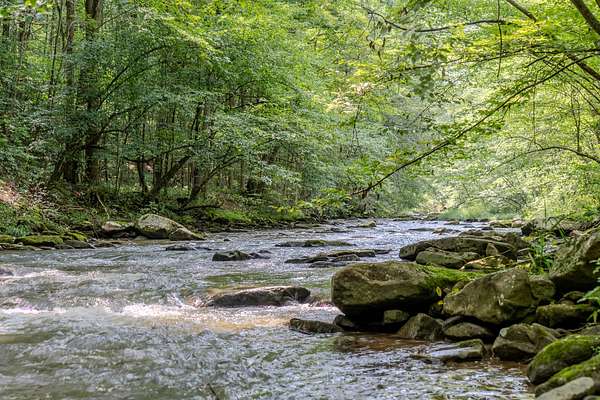 302 Acres of Land for Sale in Acme, Pennsylvania