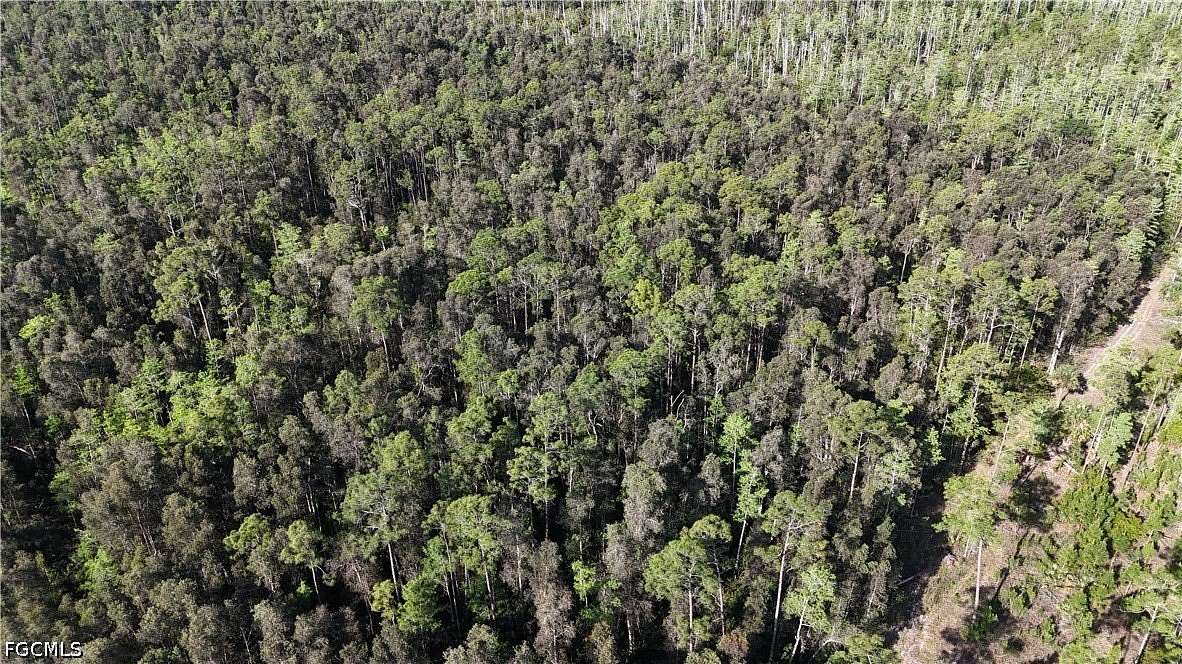 5 Acres of Land for Sale in Naples, Florida