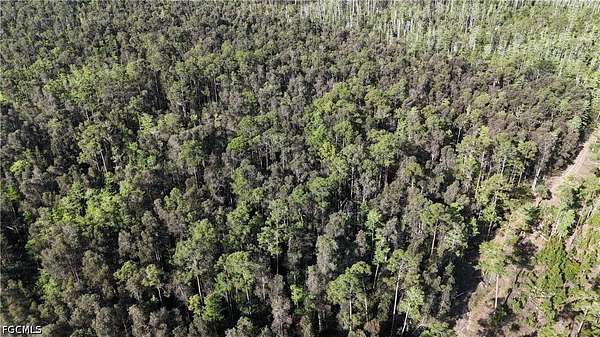 5 Acres of Land for Sale in Naples, Florida