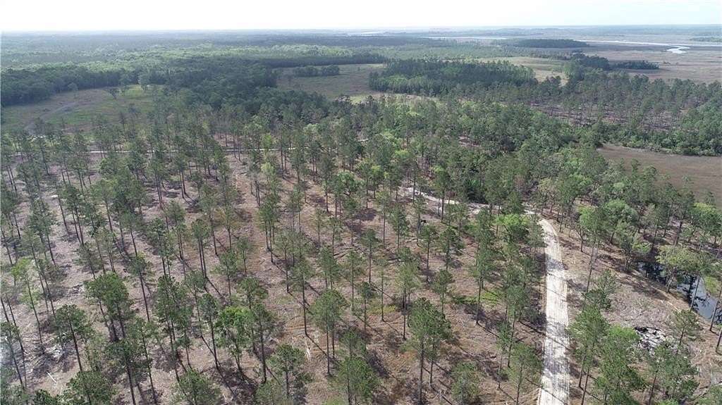 397 Acres of Recreational Land for Sale in Waverly, Georgia