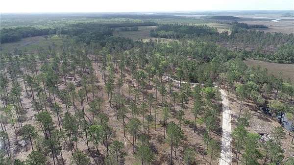 397 Acres of Recreational Land for Sale in Waverly, Georgia