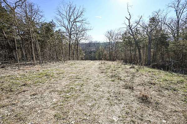 80.3 Acres of Recreational & Residential Land for Sale in Rockaway Beach, Missouri