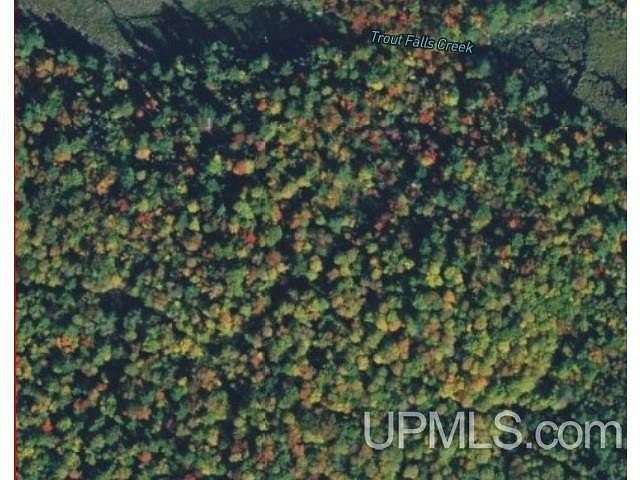 77.2 Acres of Recreational Land for Sale in Republic, Michigan