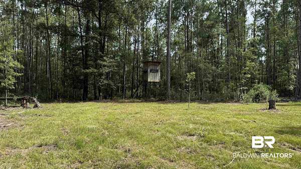 80 Acres of Recreational Land for Sale in Stockton, Alabama