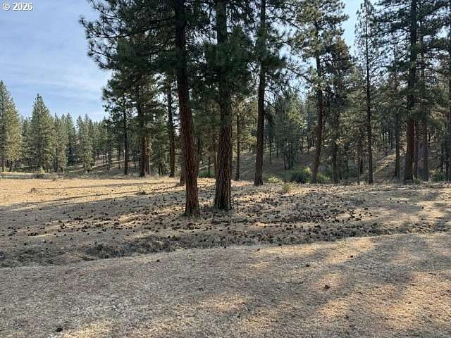 242 Acres of Recreational & Residential Land for Sale in Elgin, Oregon
