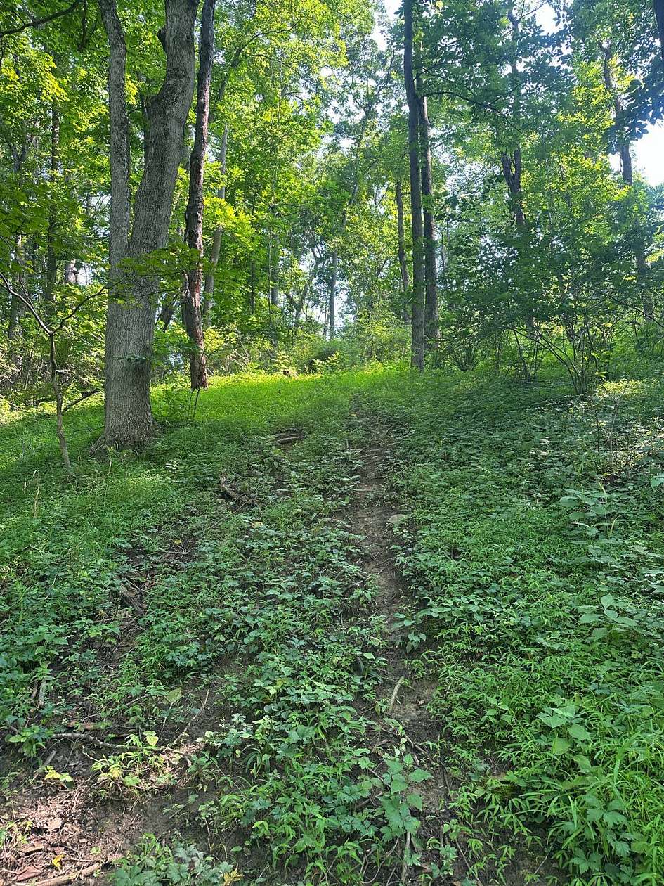 44.2 Acres of Recreational & Residential Land for Sale in Elizabeth, Pennsylvania