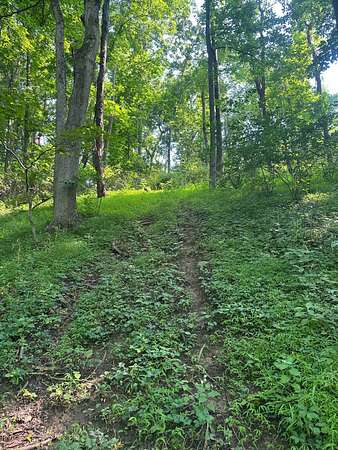 44.2 Acres of Recreational & Residential Land for Sale in Elizabeth, Pennsylvania