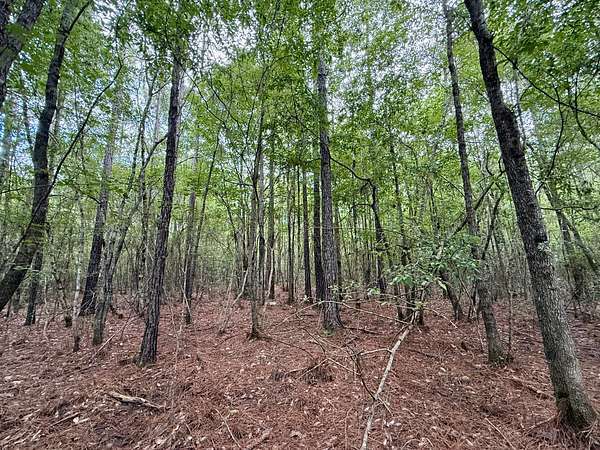30 Acres of Recreational Land for Sale in Perdido, Alabama