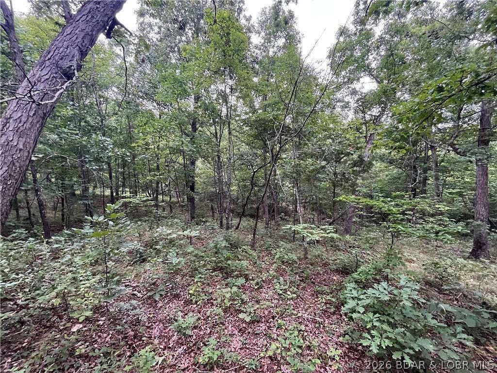 12 Acres of Recreational & Residential Land for Sale in Climax Springs, Missouri