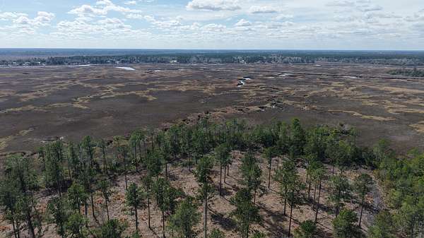 397 Acres of Recreational Land for Sale in Waverly, Georgia
