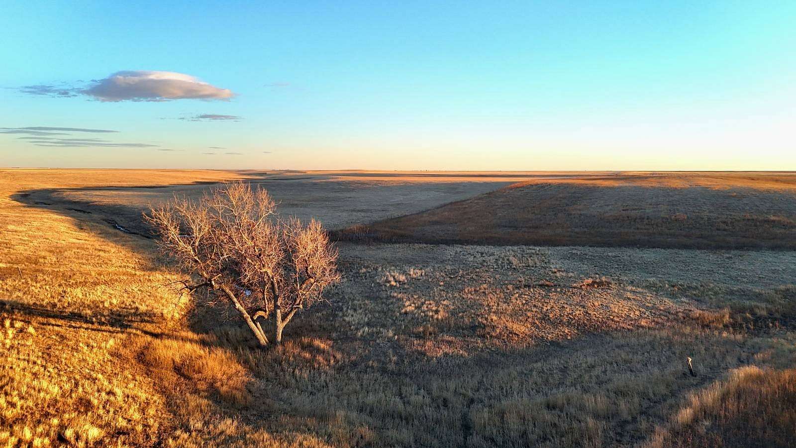 249 Acres of Land for Sale in Matheson, Colorado