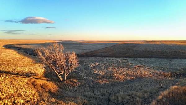 249 Acres of Land for Sale in Matheson, Colorado