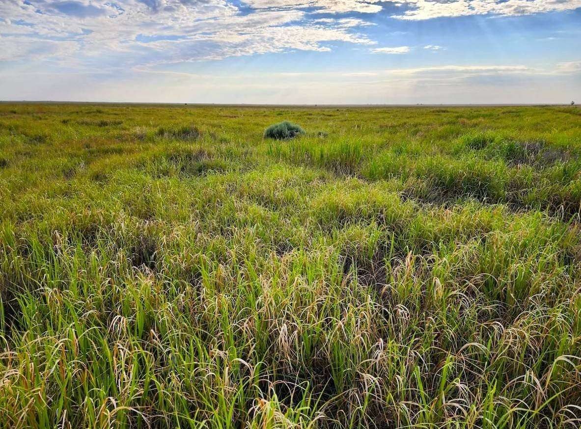 320 Acres of Land for Sale in Boone, Colorado