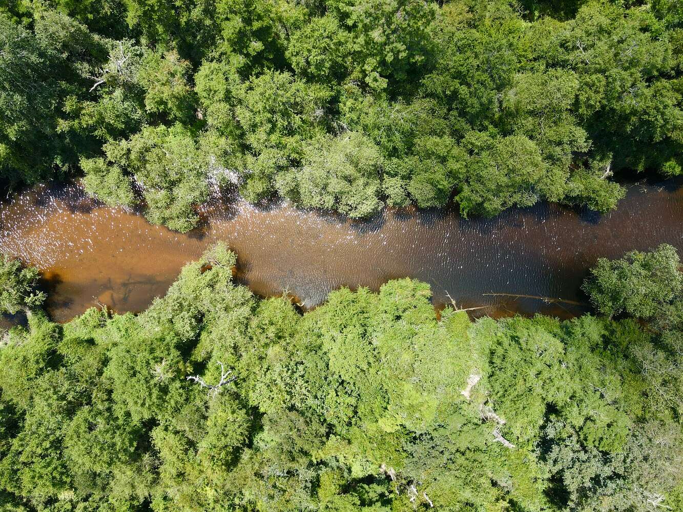 47 Acres of Recreational Land for Sale in Gulfport, Mississippi