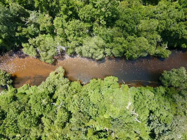 47 Acres of Recreational Land for Sale in Gulfport, Mississippi