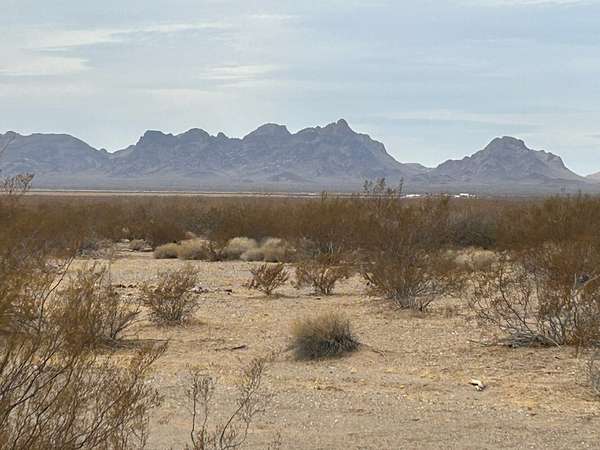 80 Acres of Land for Sale in Vicksburg, Arizona