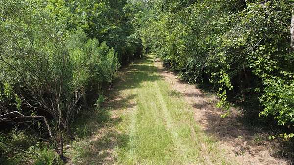 205 Acres of Recreational Land for Sale in Ridgeville, South Carolina