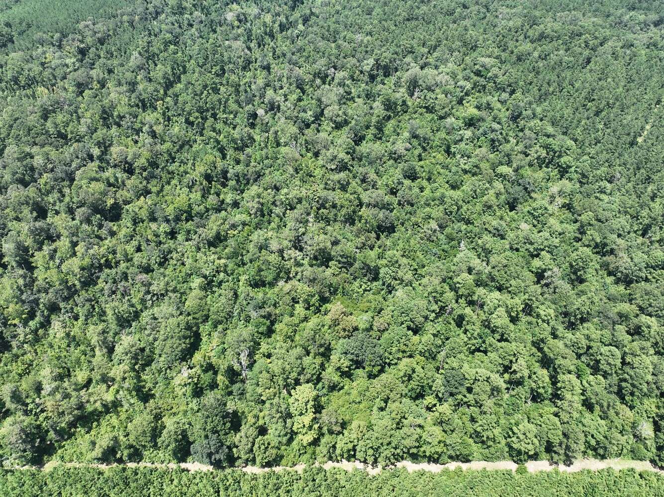 200 Acres of Recreational & Residential Land for Sale in Hineston, Louisiana