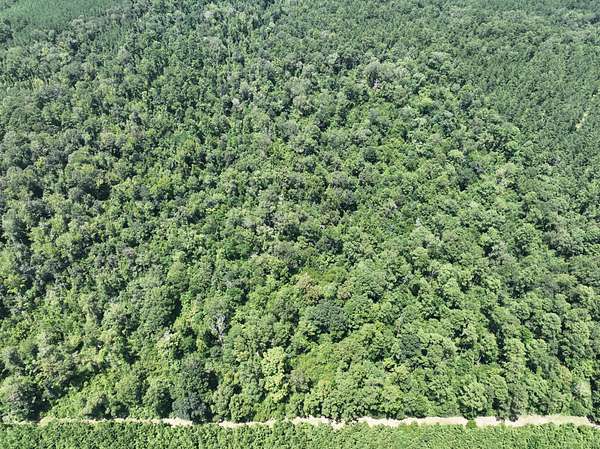 200 Acres of Recreational & Residential Land for Sale in Hineston, Louisiana
