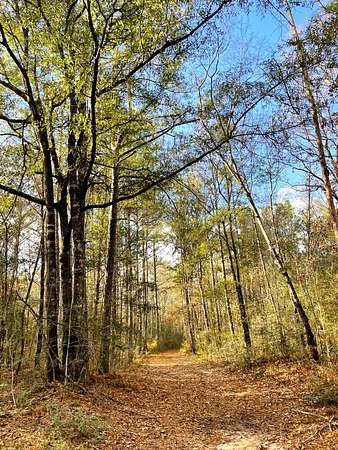 427 Acres of Recreational Land for Sale in Perdido, Alabama