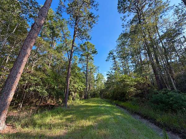 63 Acres of Recreational Land for Sale in Bay St. Louis, Mississippi
