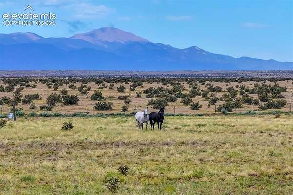 45.7 Acres of Land for Sale in Colorado Springs, Colorado