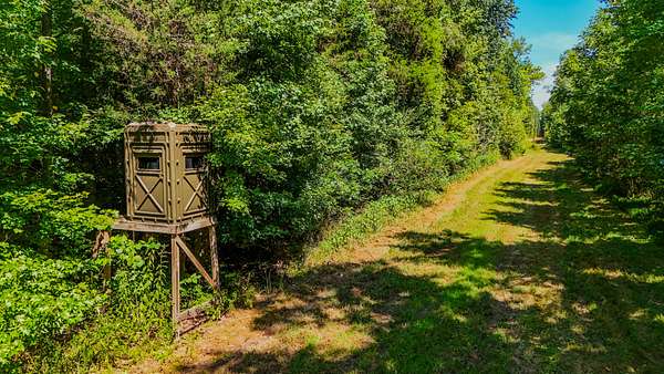 97 Acres of Improved Land for Sale in Clifton, Tennessee