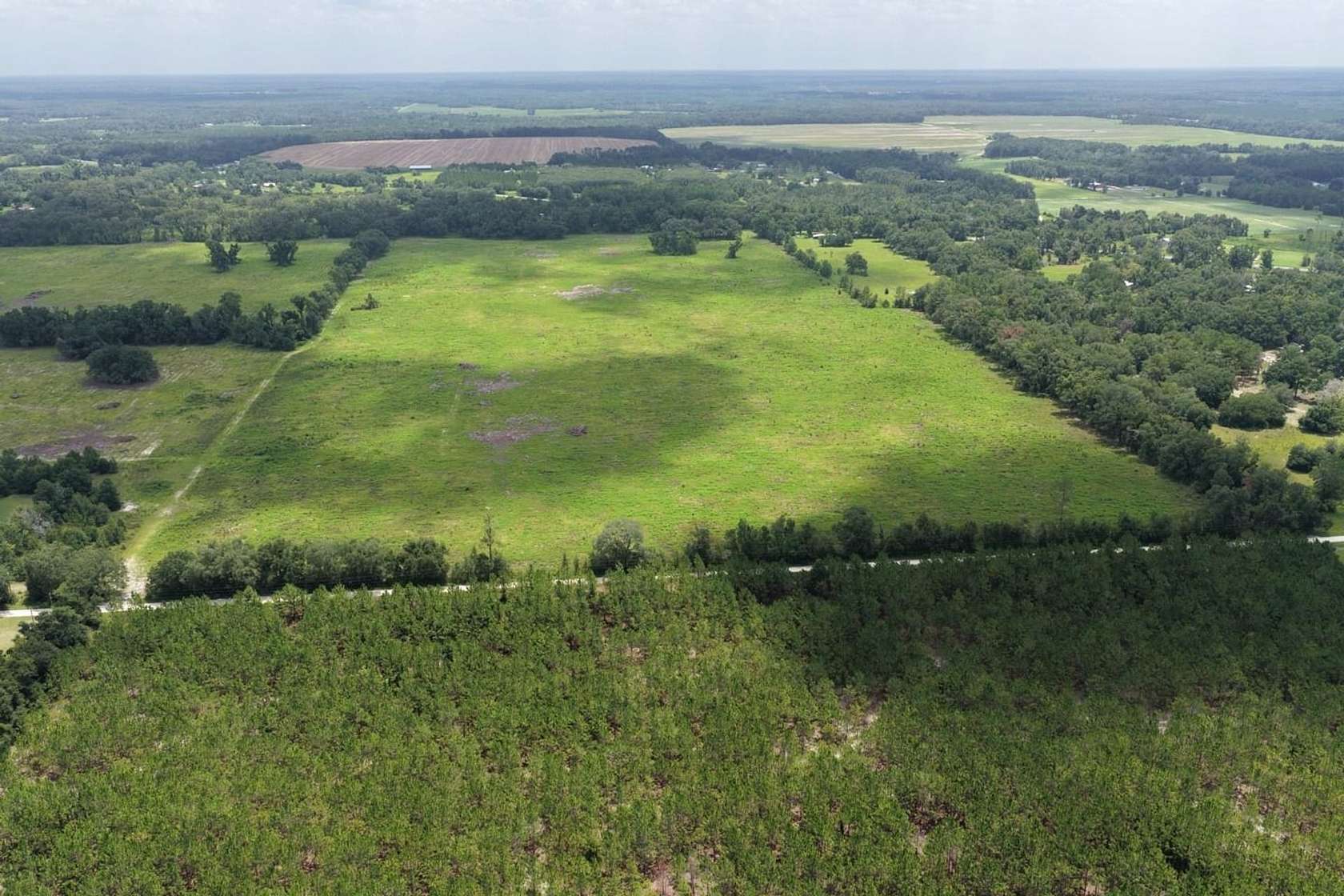 77.2 Acres of Land for Sale in Live Oak, Florida