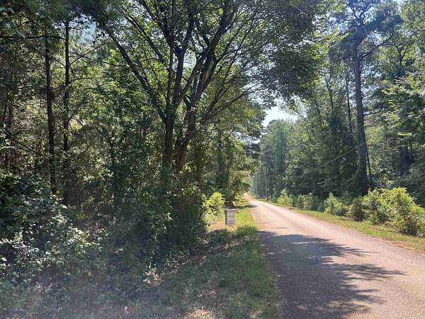 36 Acres of Recreational & Residential Land for Sale in Sparkman, Arkansas