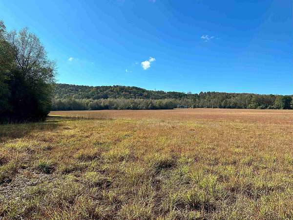 88.9 Acres of Land for Sale in Dover, Arkansas