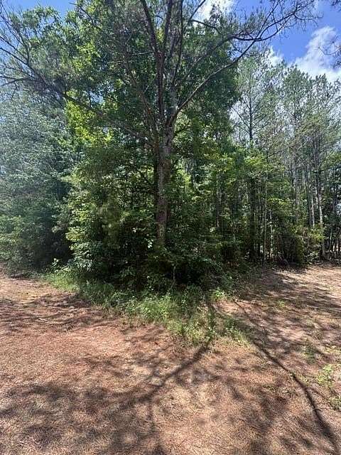 40 Acres of Recreational Land for Sale in Tremont, Mississippi
