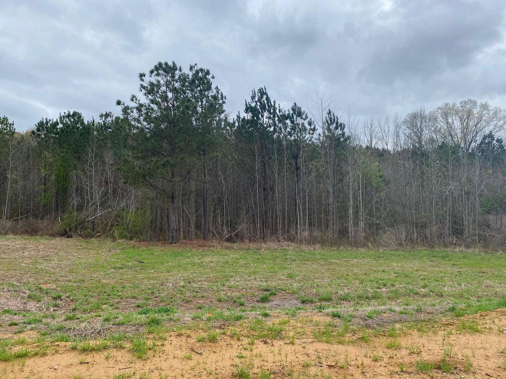 1.5 Acres of Residential Land for Sale in Tupelo, Mississippi