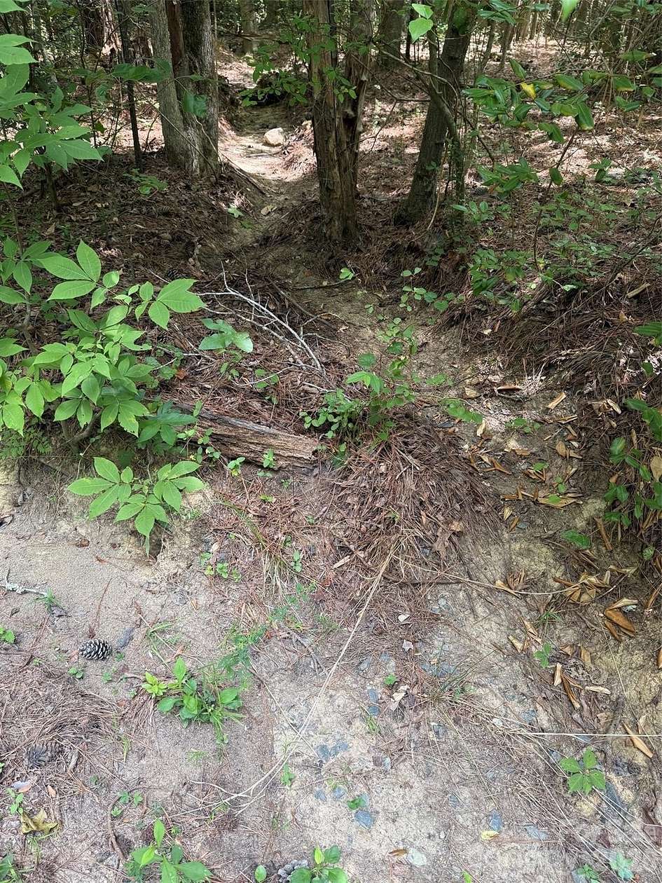 1 Acre of Residential Land for Sale in Mount Gilead, North Carolina