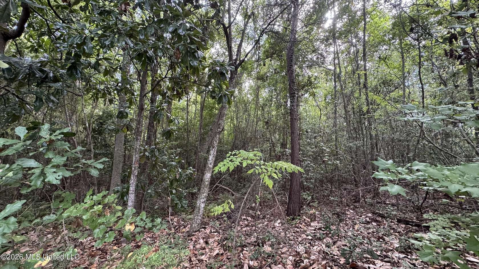 0.26 Acres of Residential Land for Sale in Ocean Springs, Mississippi